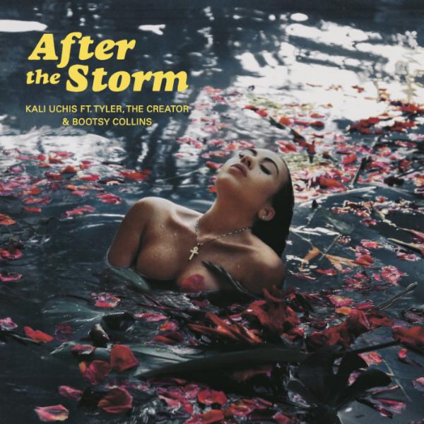 Buy After The Storm